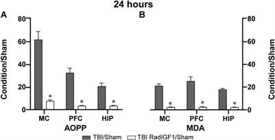 Early IGF-1 Gene Therapy Prevented Oxidative Stress and Cognitive Deficits Induced by Traumatic Brain Injury